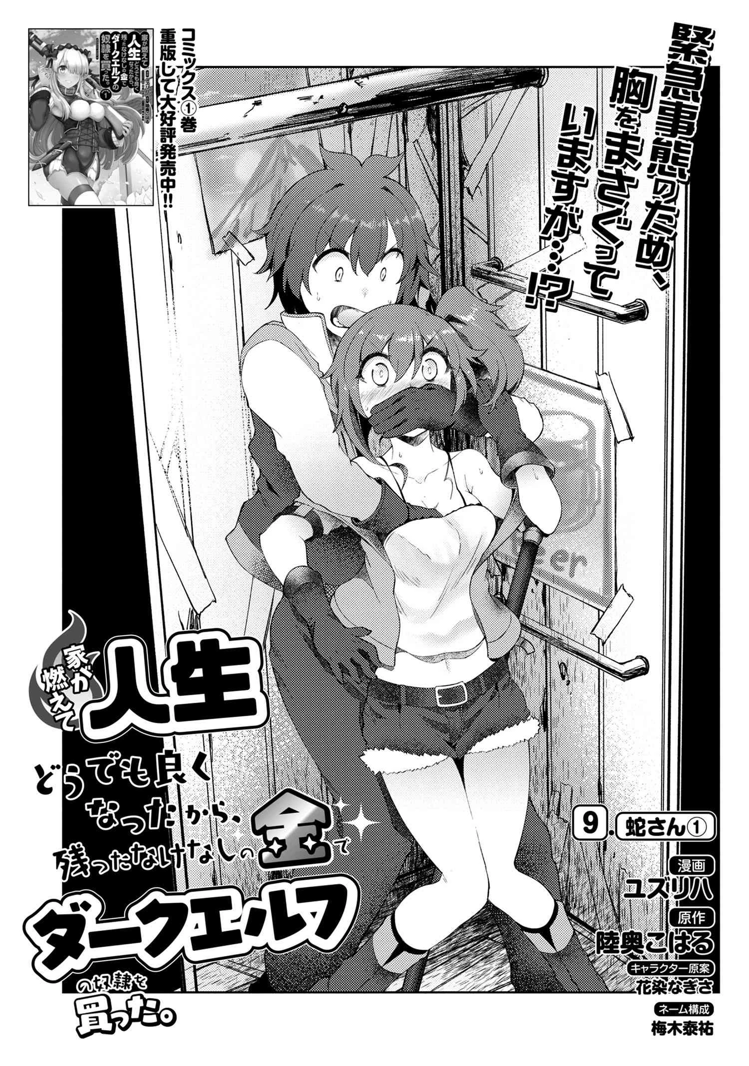 家が燃えて人生どうでも良くなったから、残ったなけなしの金でダークエルフの奴隷を買った。 第9.1話 - 1