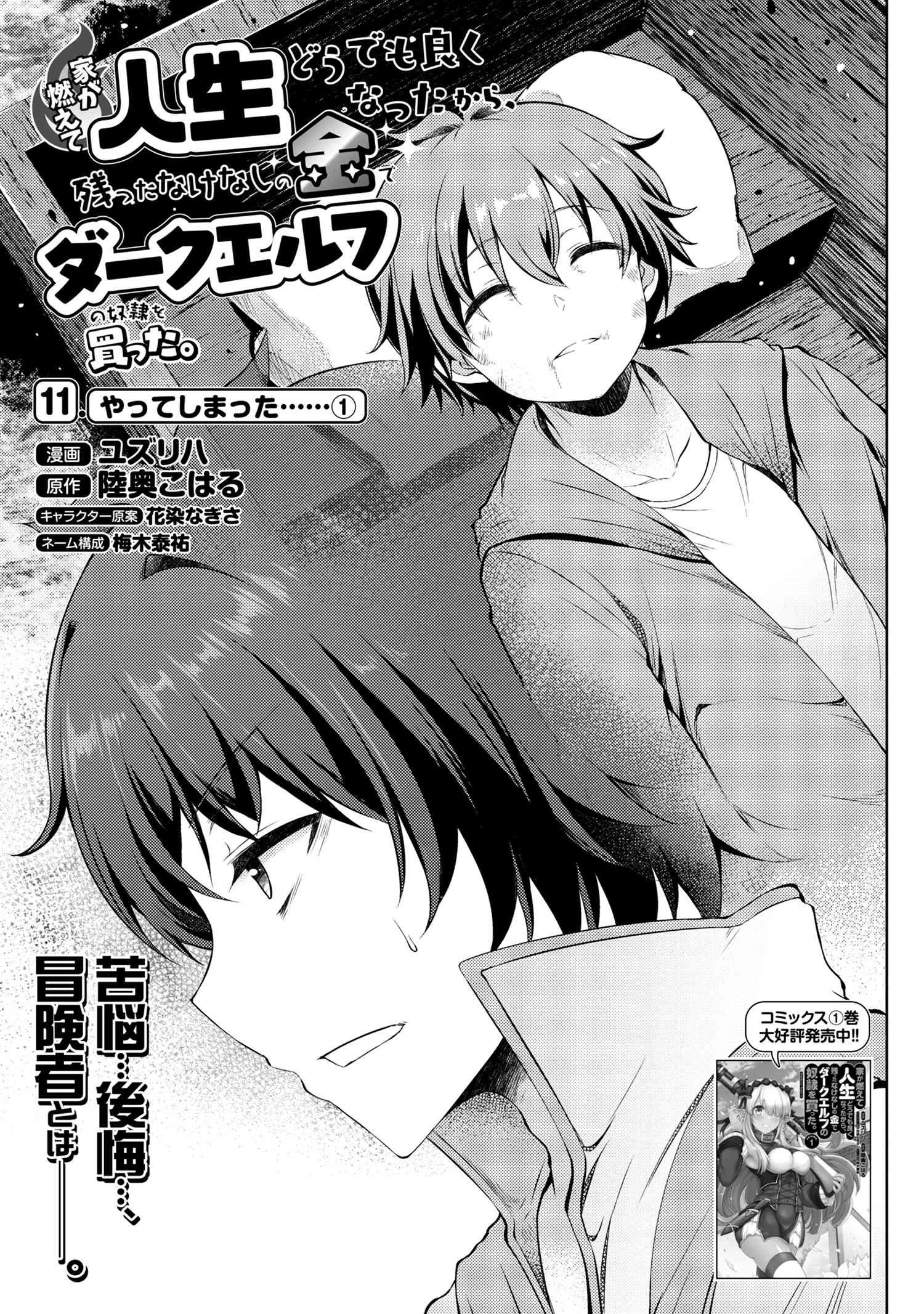 家が燃えて人生どうでも良くなったから、残ったなけなしの金でダークエルフの奴隷を買った。 第11.1話 - 1