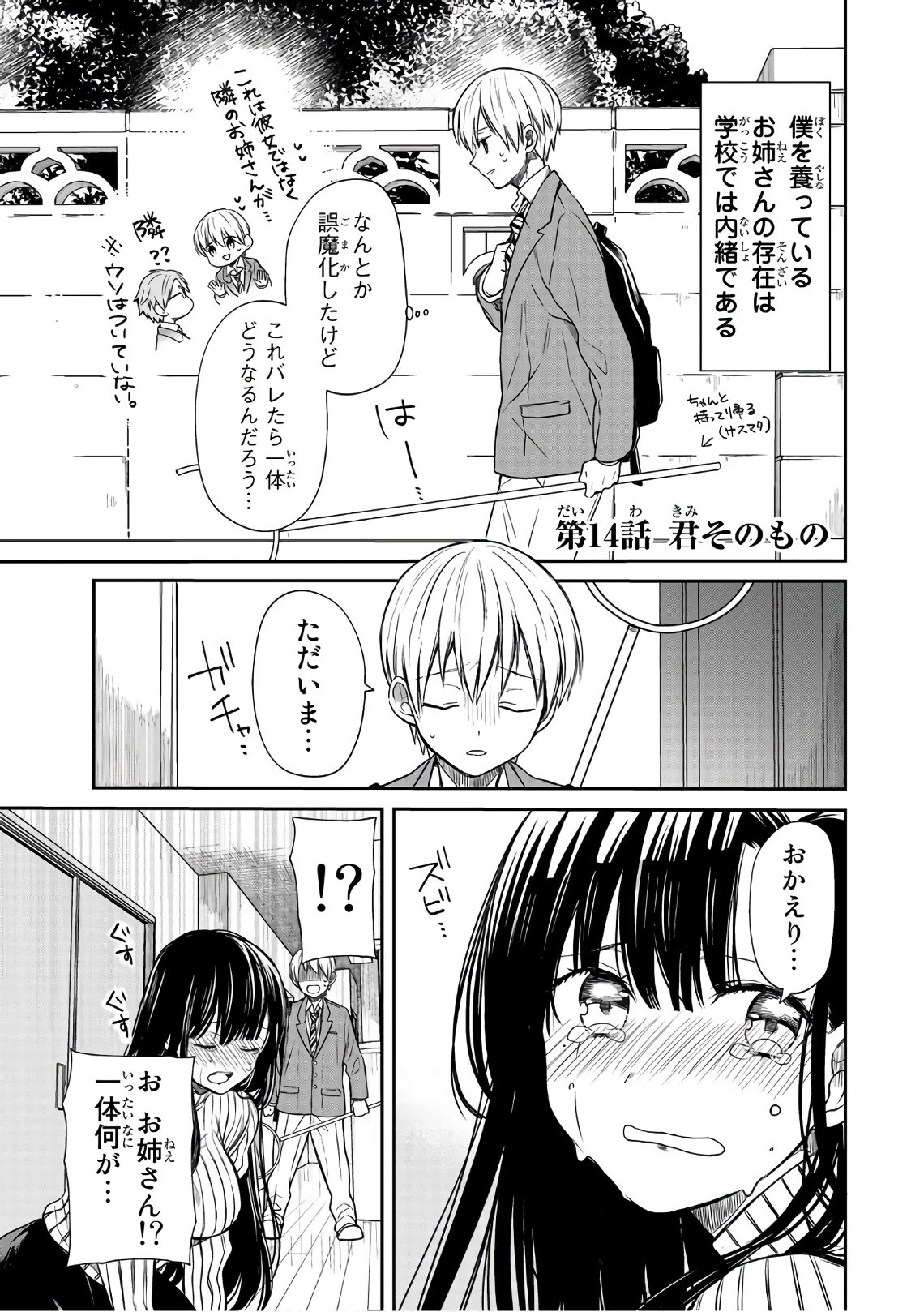 男子高校生を養いたいお姉さんの話 第14話 - 1