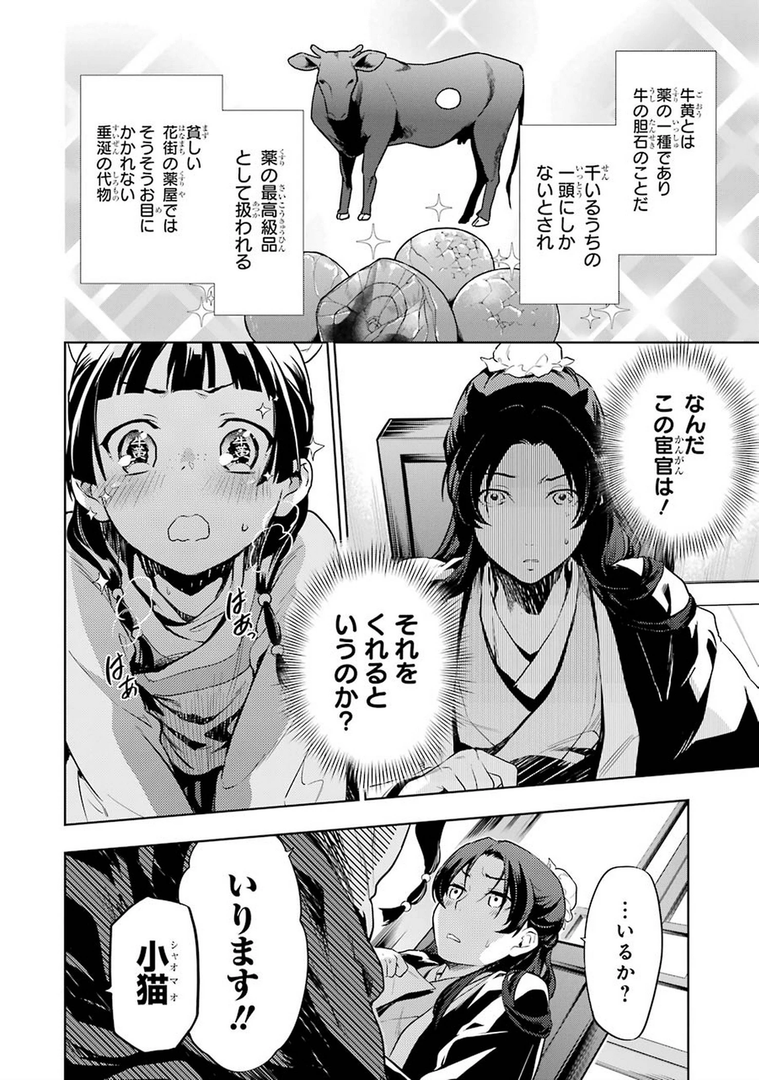 薬屋のひとりごと 第31話 - 16