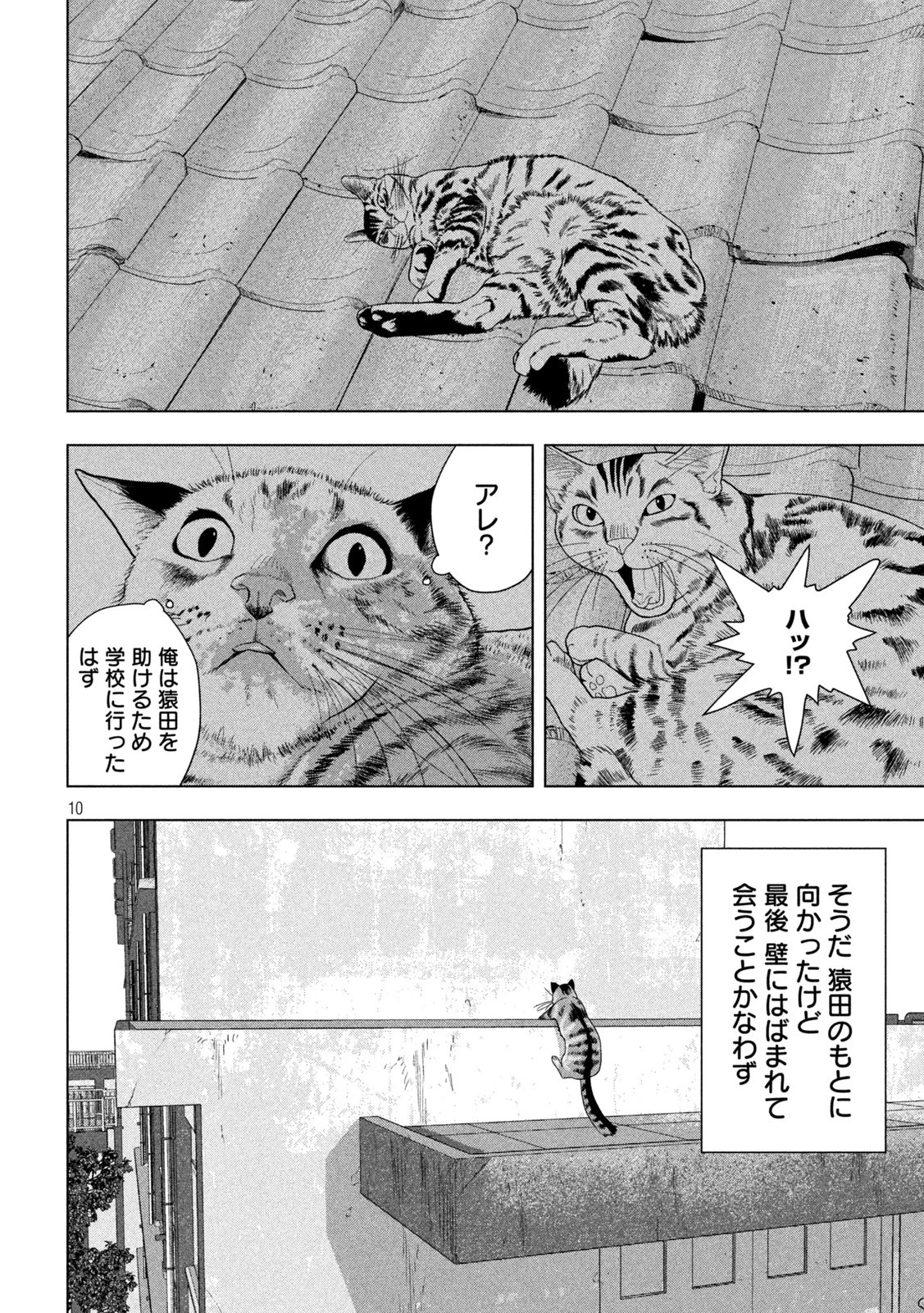 アンダーニンジャ 第76話 - 10