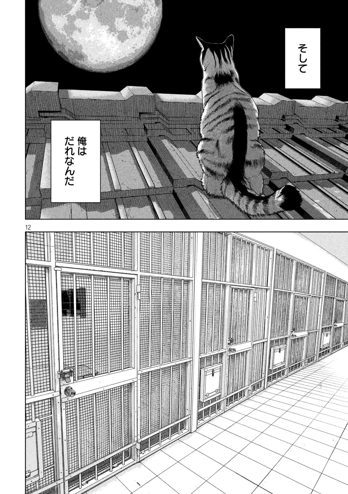 アンダーニンジャ 第76話 - 12