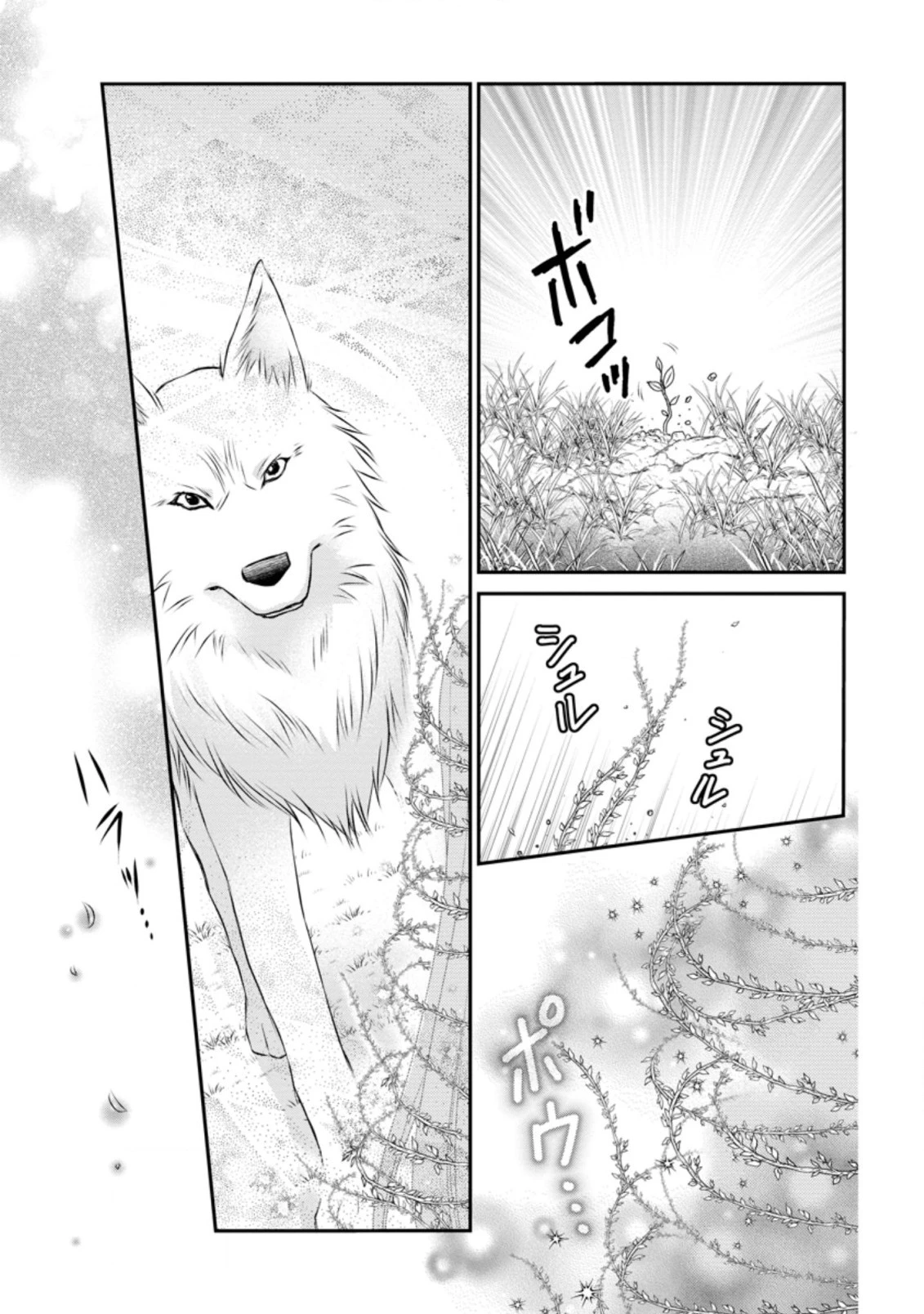 転生令嬢は逃げ出した森の中、スキルを駆 第5.2話 - 5