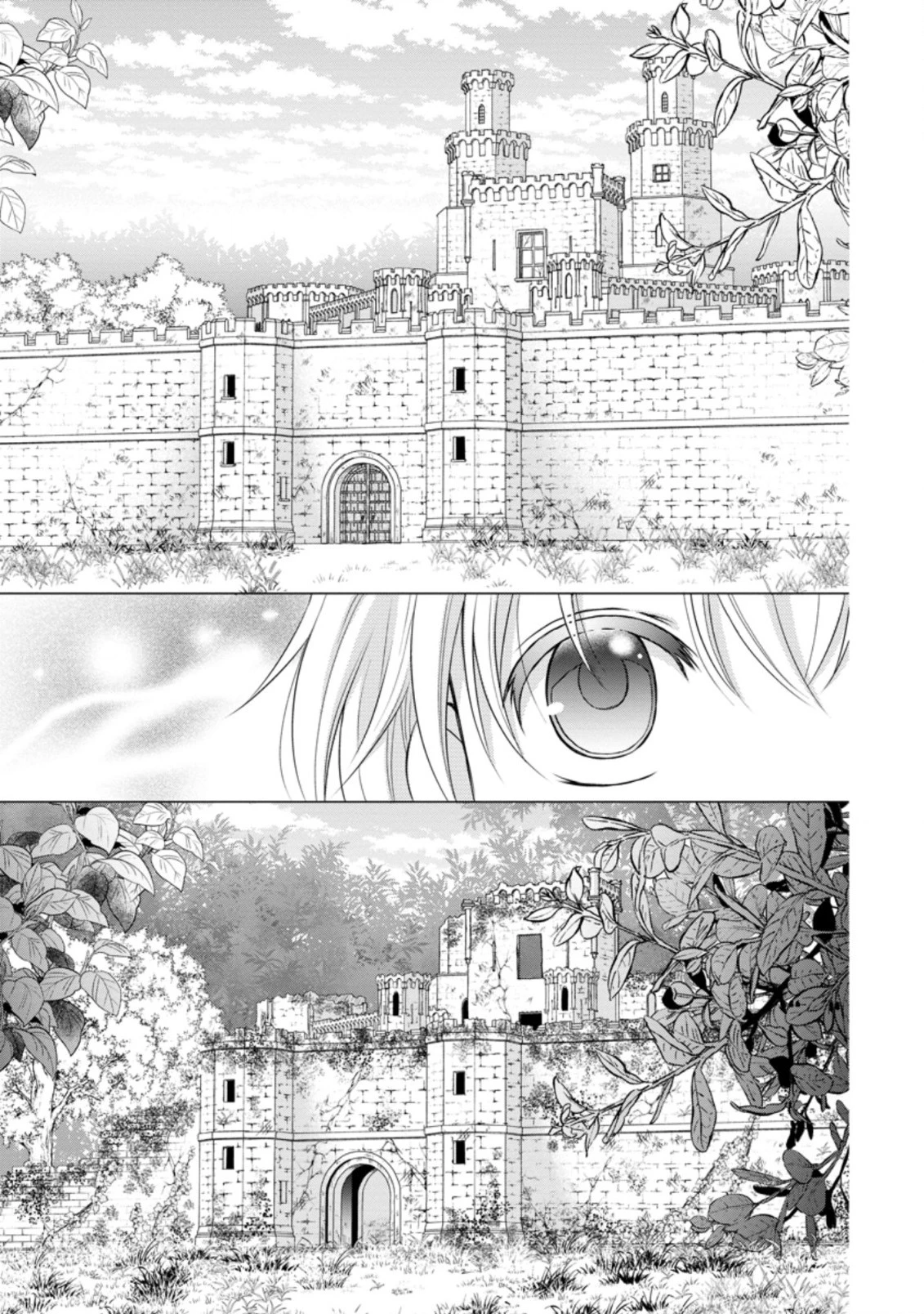 転生令嬢は逃げ出した森の中、スキルを駆 第15話 - 1