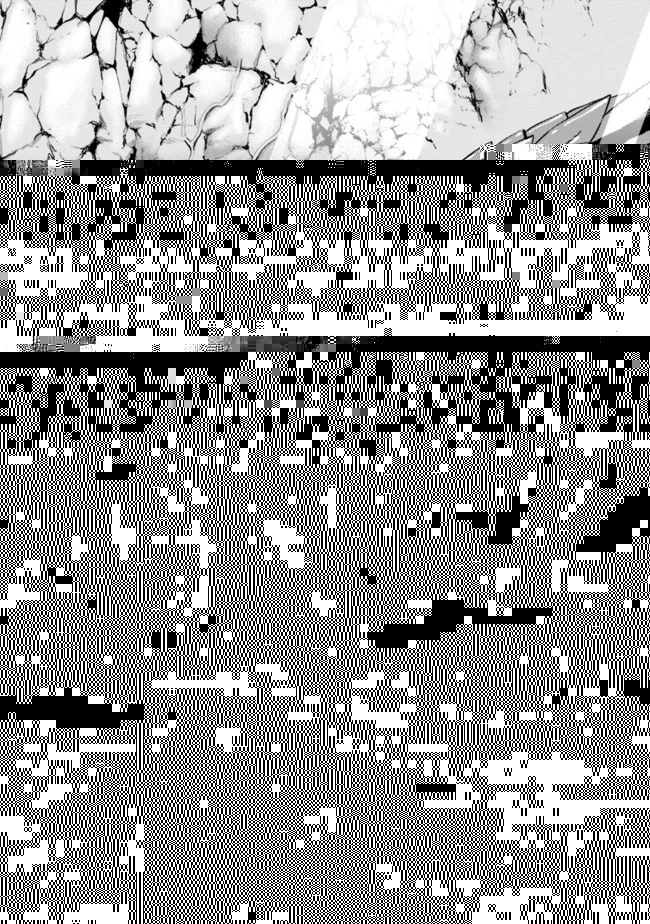 裏切られたSランク冒険者の俺は、愛する奴隷の彼女らと共に奴隷だけのハーレムギルドを作る 第8話 - 11