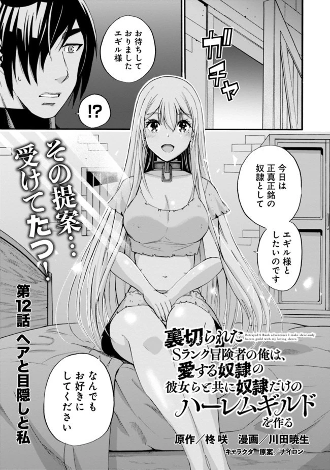 裏切られたSランク冒険者の俺は、愛する奴隷の彼女らと共に奴隷だけのハーレムギルドを作る 第12話 - 1