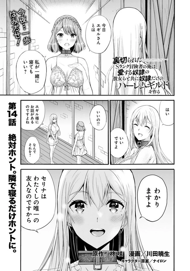 裏切られたSランク冒険者の俺は、愛する奴隷の彼女らと共に奴隷だけのハーレムギルドを作る 第14話 - 1