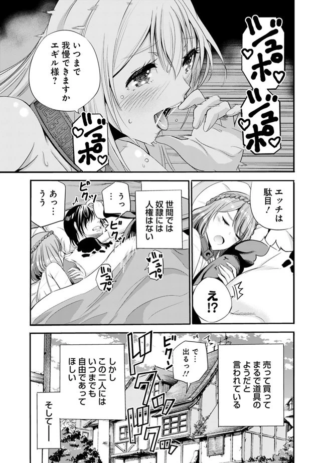 裏切られたSランク冒険者の俺は、愛する奴隷の彼女らと共に奴隷だけのハーレムギルドを作る 第14話 - 15