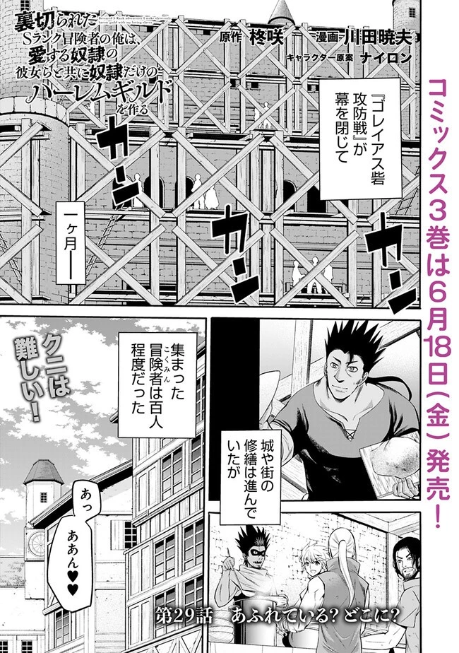 裏切られたSランク冒険者の俺は、愛する奴隷の彼女らと共に奴隷だけのハーレムギルドを作る 第29話 - 1