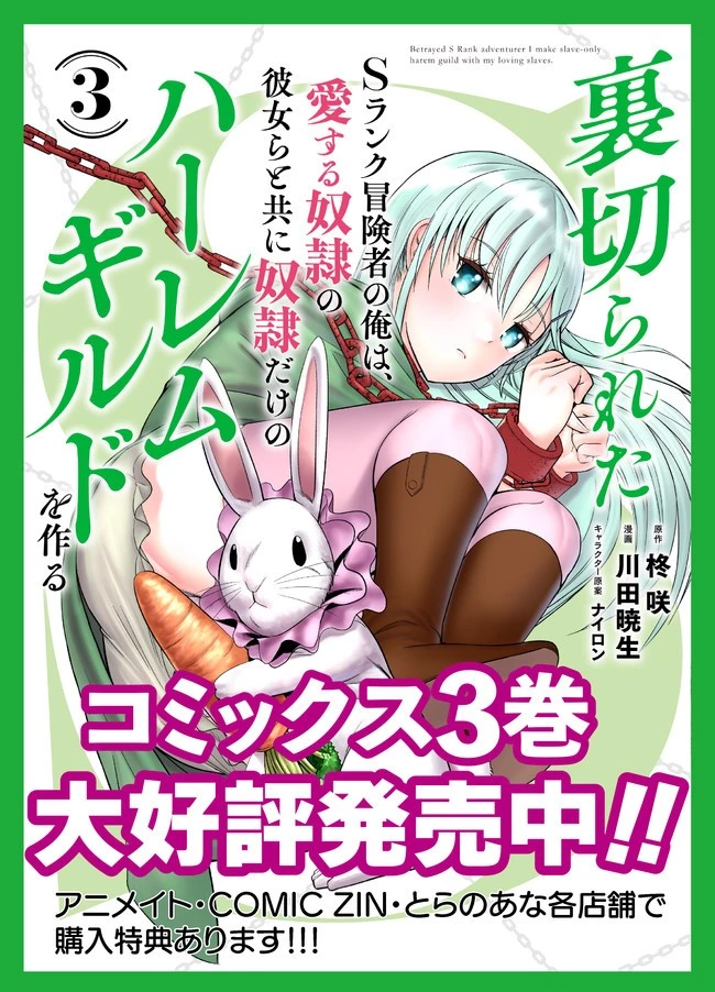 裏切られたSランク冒険者の俺は、愛する奴隷の彼女らと共に奴隷だけのハーレムギルドを作る 第31話 - 18