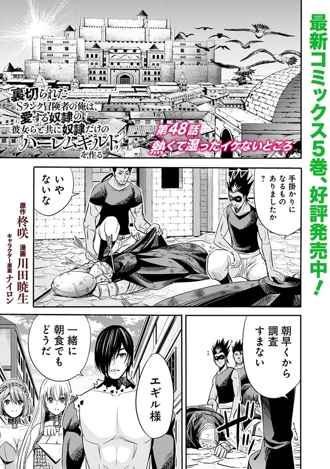 裏切られたSランク冒険者の俺は、愛する奴隷の彼女らと共に奴隷だけのハーレムギルドを作る 第48話 - 1