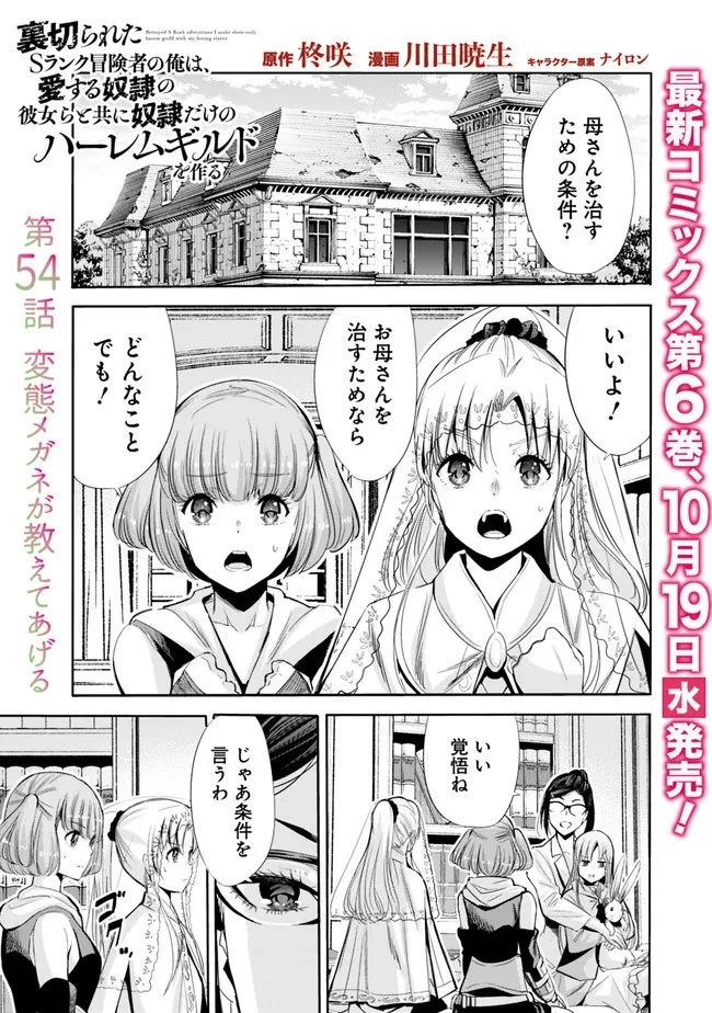 裏切られたSランク冒険者の俺は、愛する奴隷の彼女らと共に奴隷だけのハーレムギルドを作る 第54話 - 1