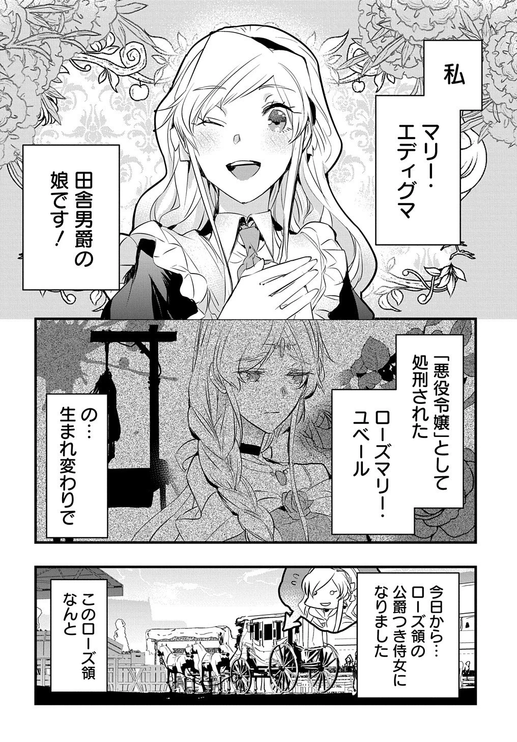 転生した悪役令嬢は復讐を望まない THE COMIC 第11話 - 3