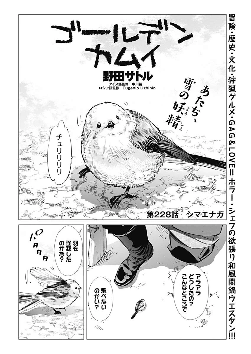 ゴールデンカムイ 第228話 - 2