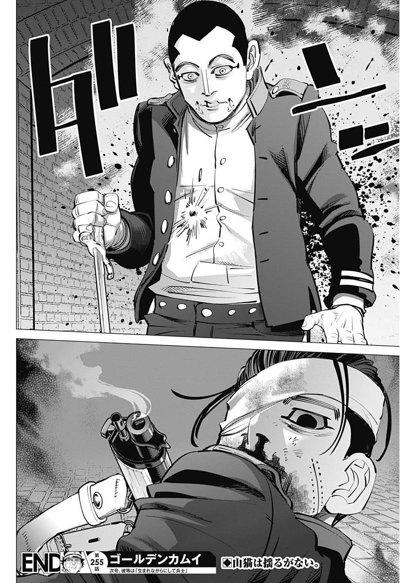 ゴールデンカムイ 第255話 - 18