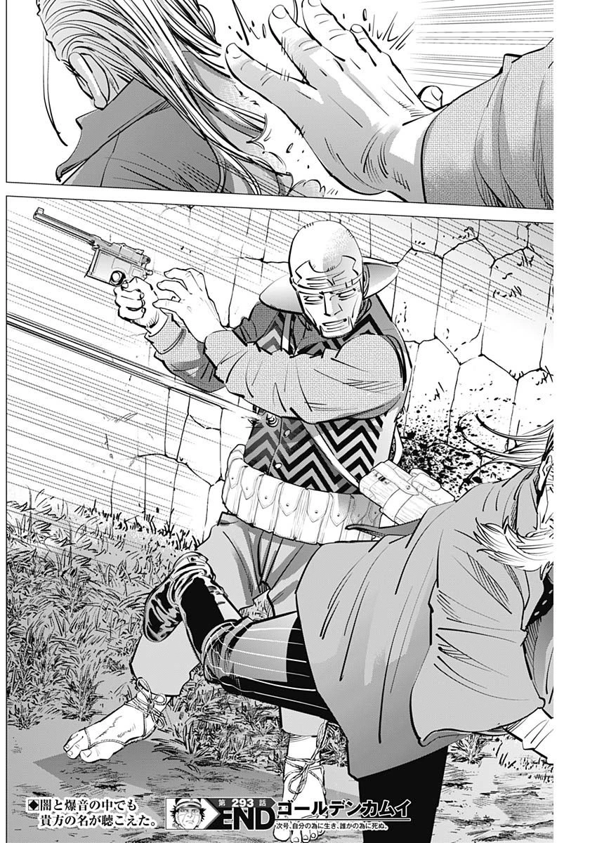 ゴールデンカムイ 第293話 - 17