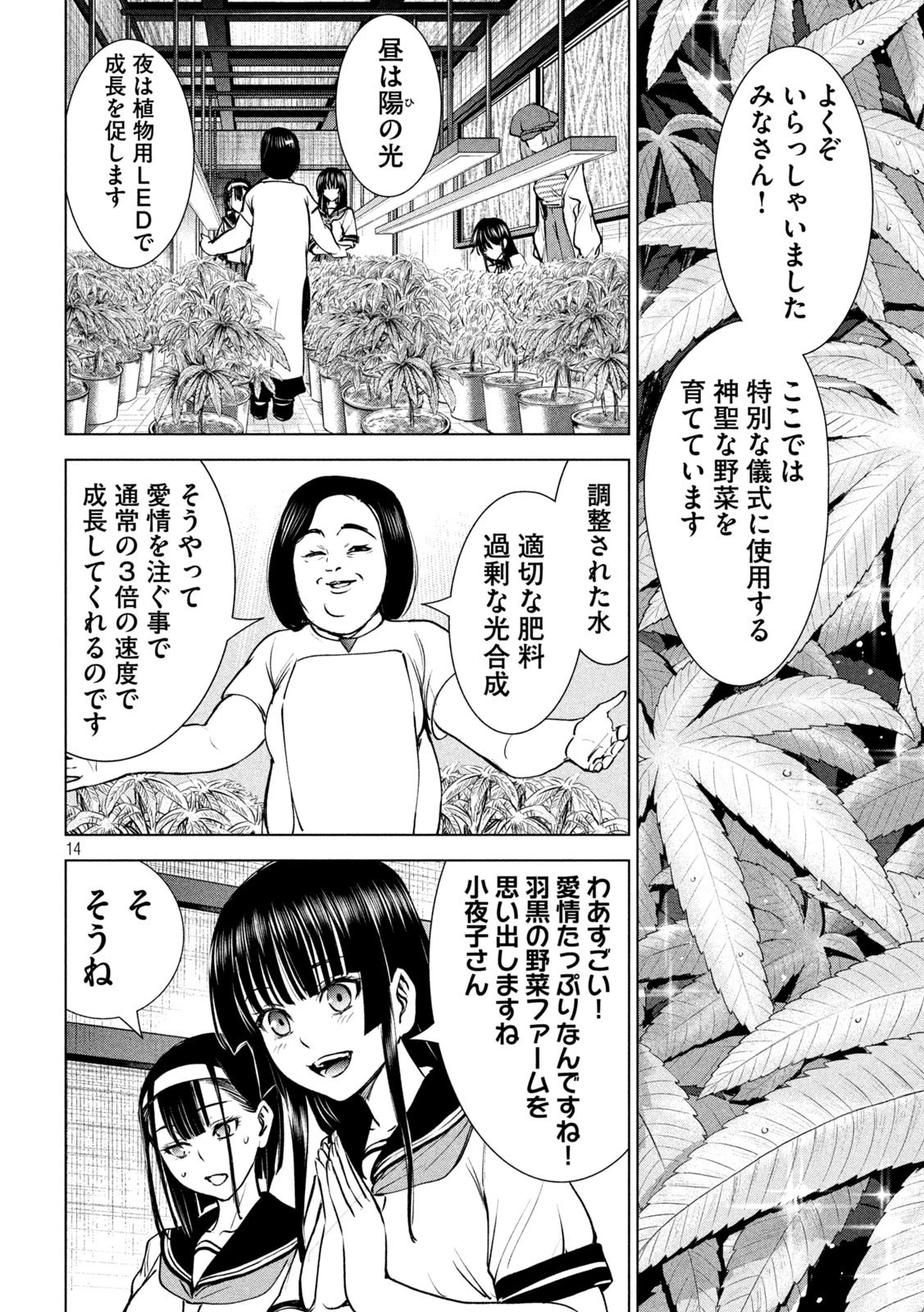 サタノファニ 第241話 - 14