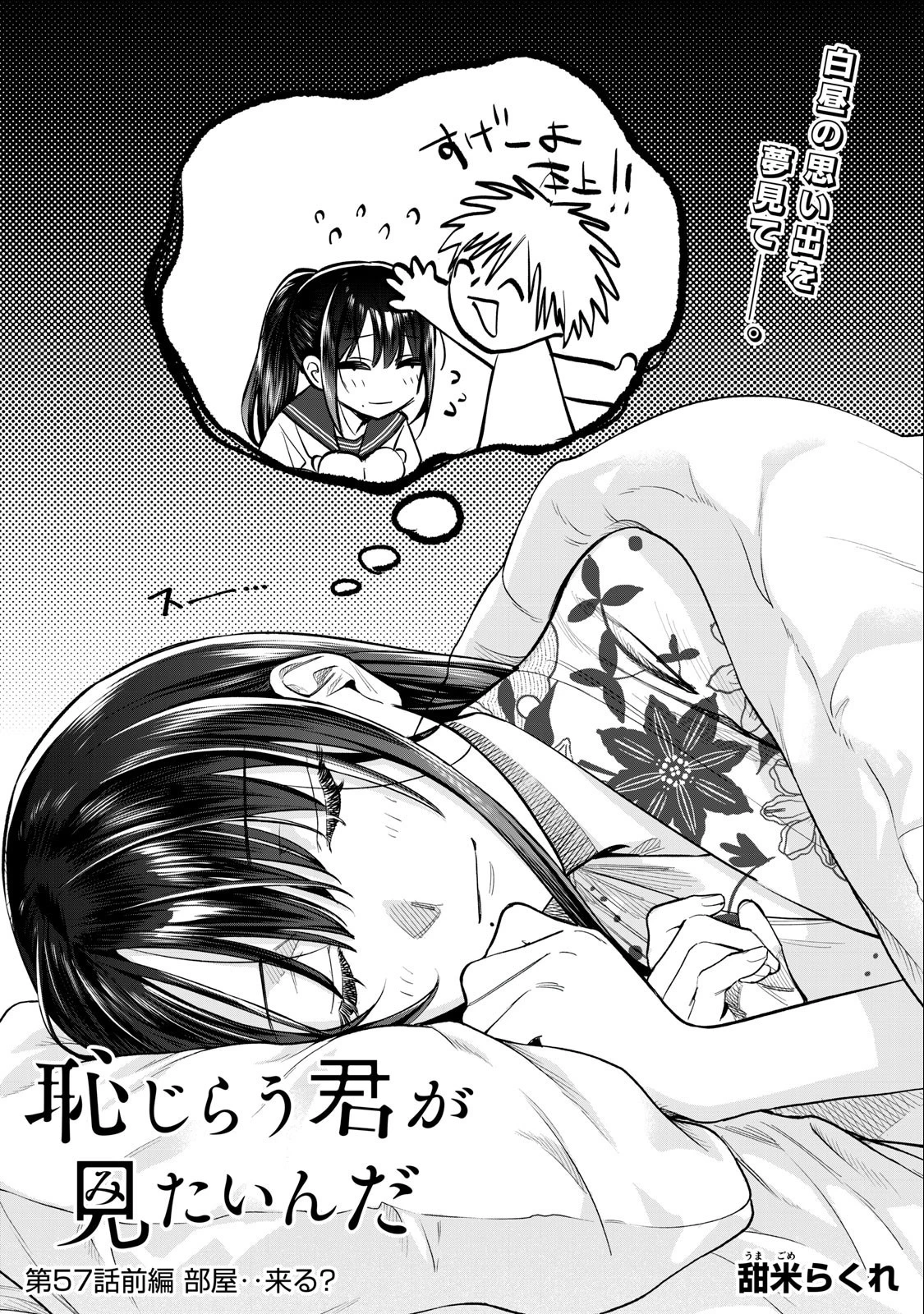 恥じらう君が見たいんだ 第57.2話 - 2