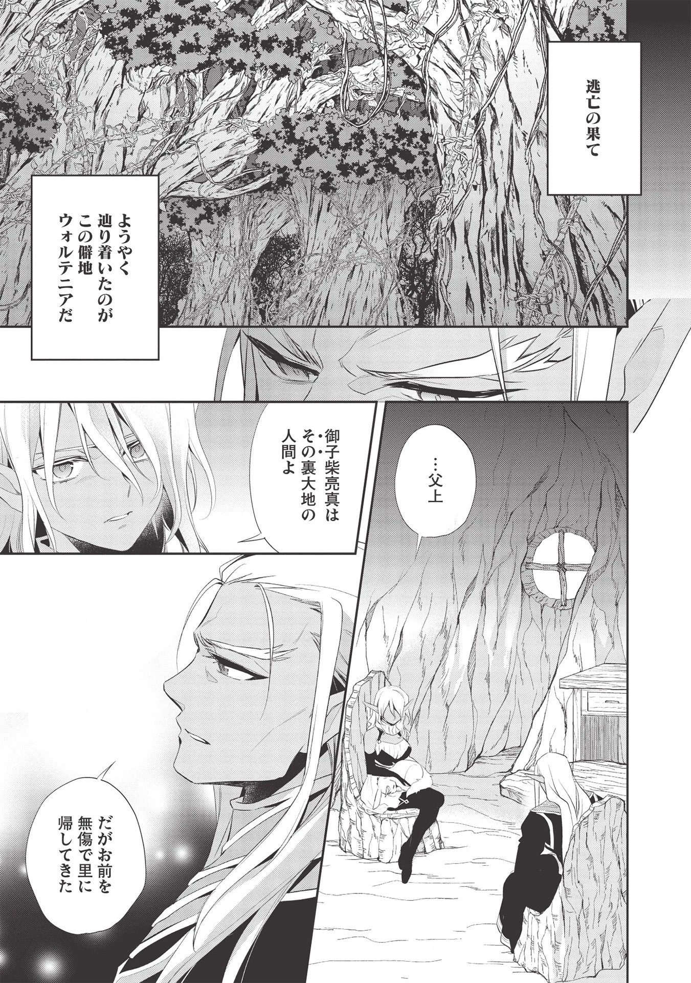 ウォルテニア戦記 第36話 - 13