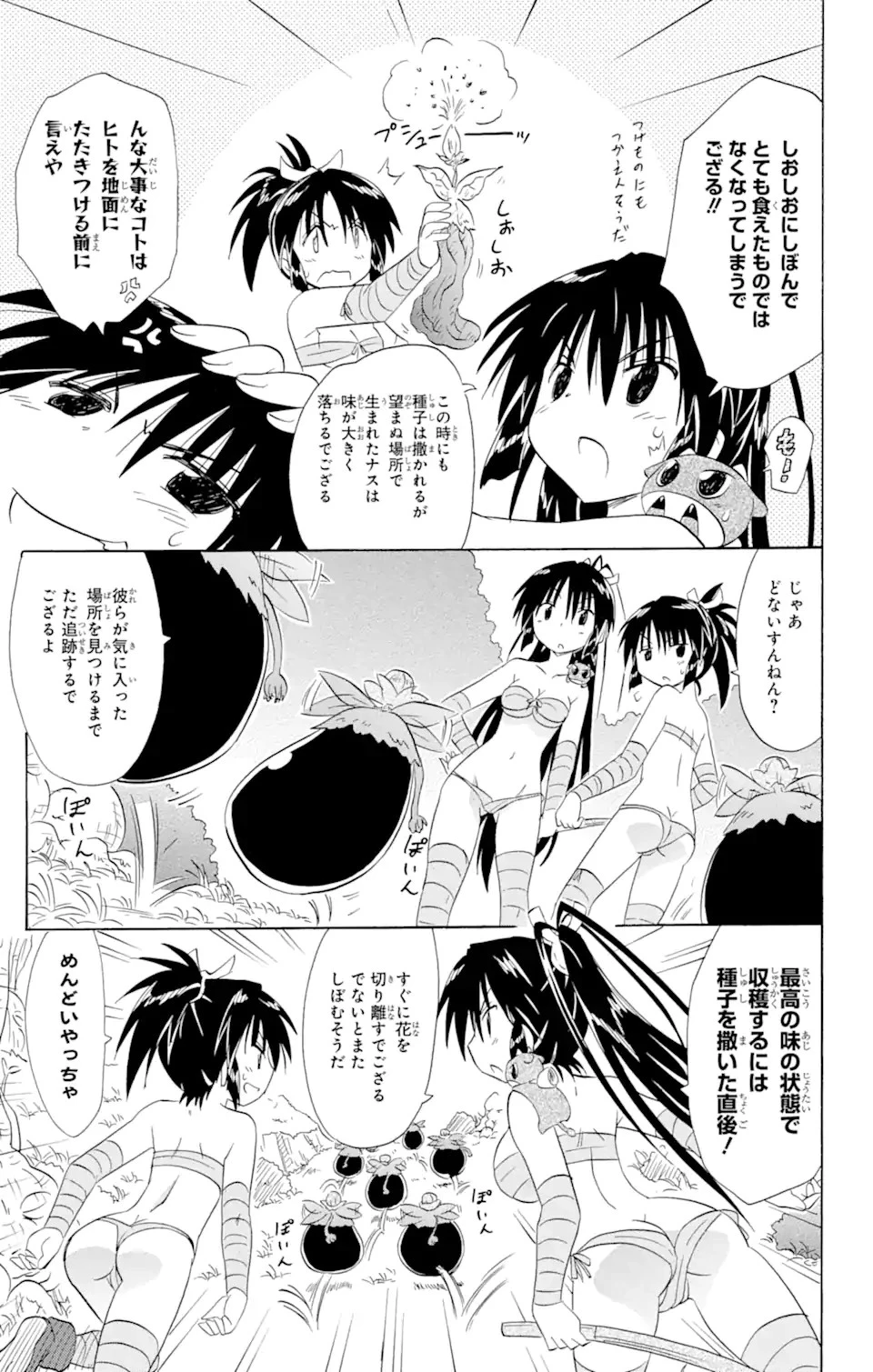 ながされて藍蘭島 第162話 - 23