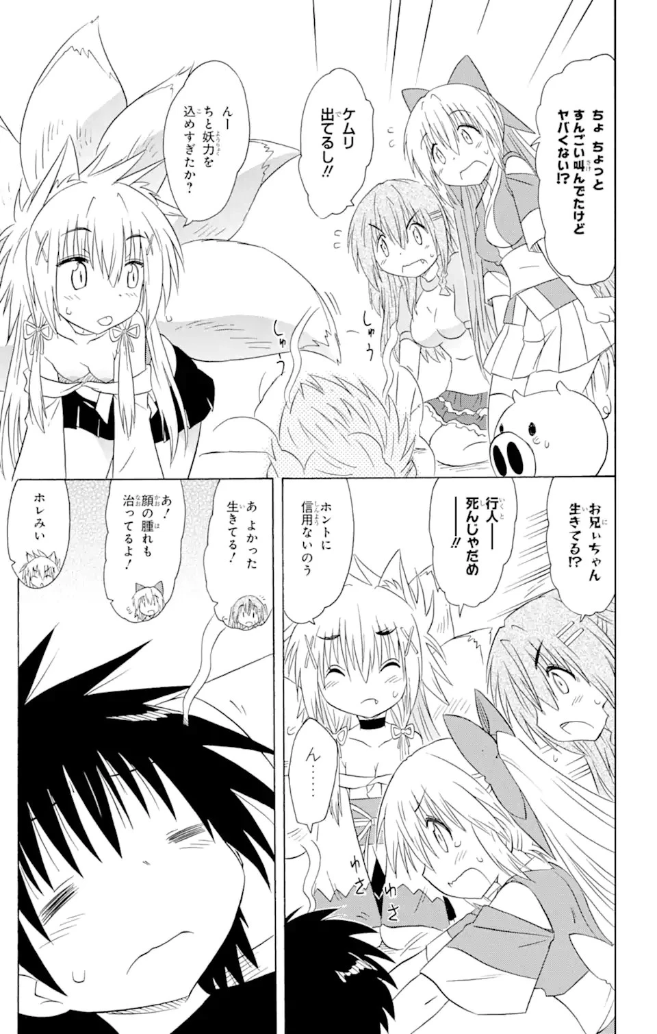 ながされて藍蘭島 第176話 - 13