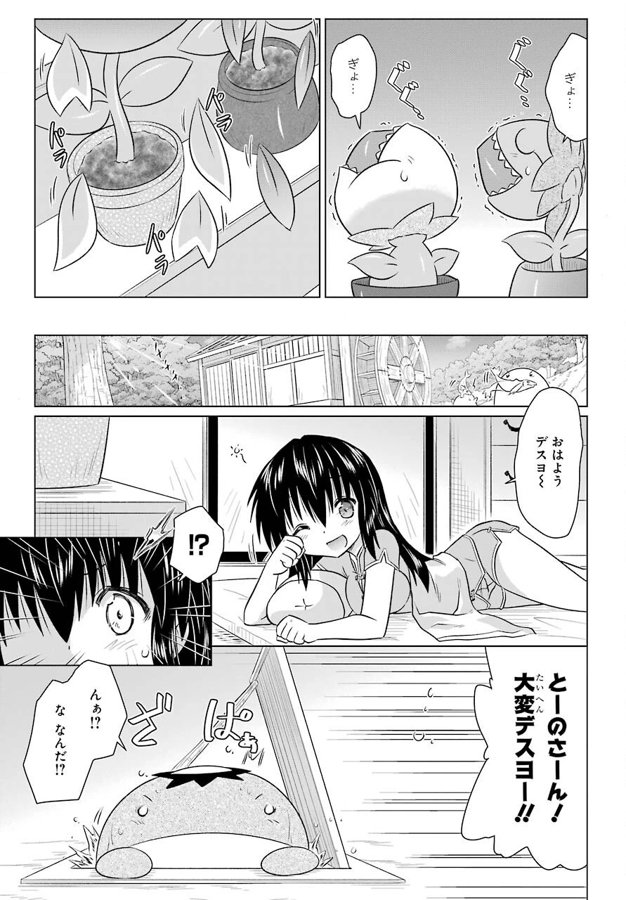 ながされて藍蘭島 第236話 - 19