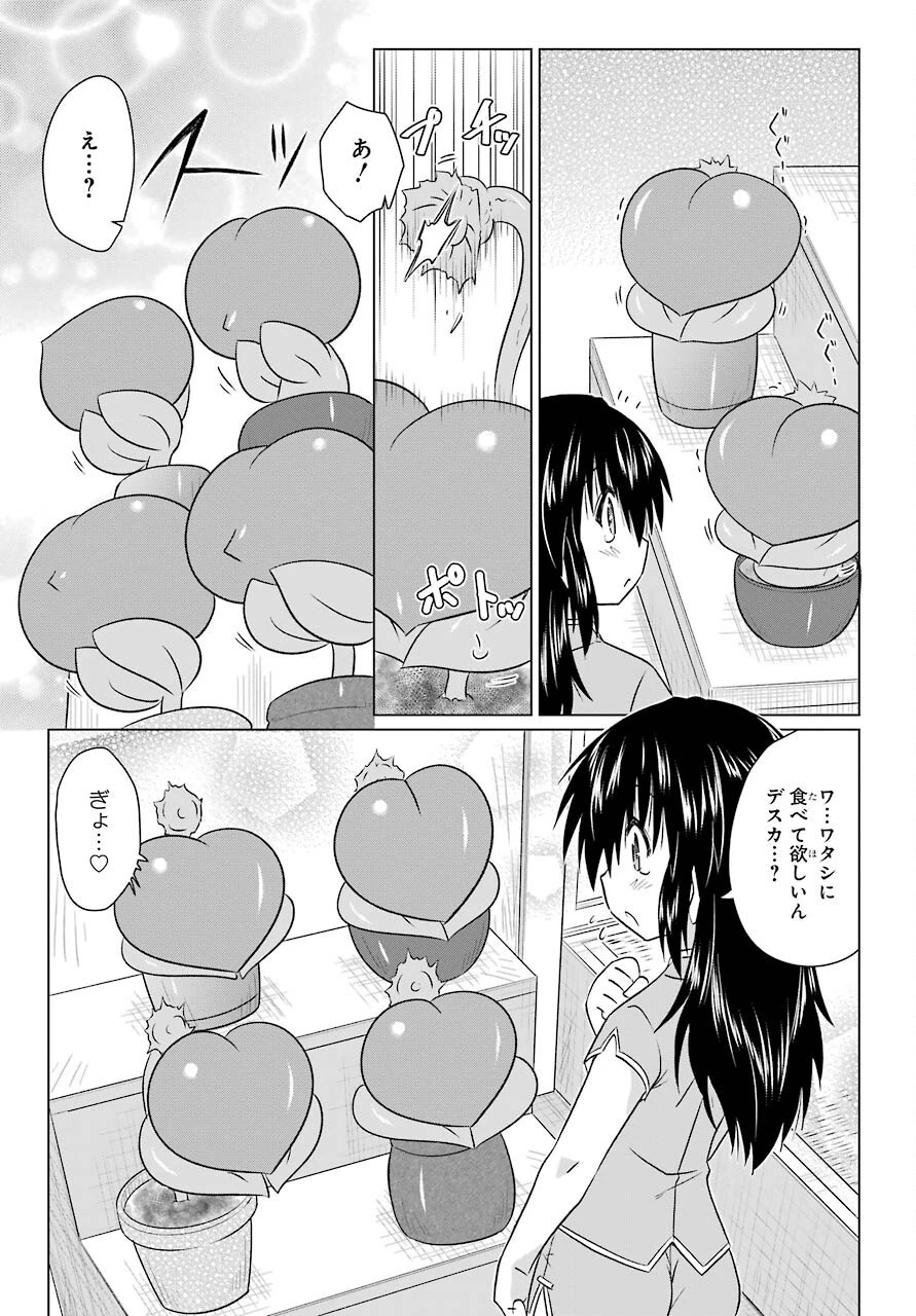 ながされて藍蘭島 第236話 - 21