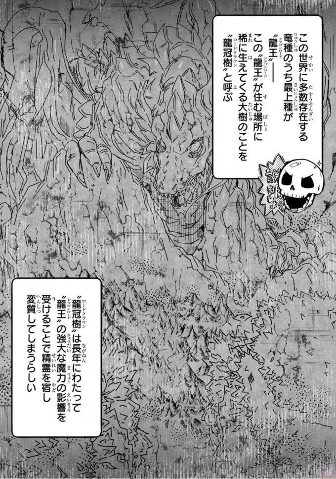 骸骨騎士様、只今異世界へお出掛け中 第10話 - 17