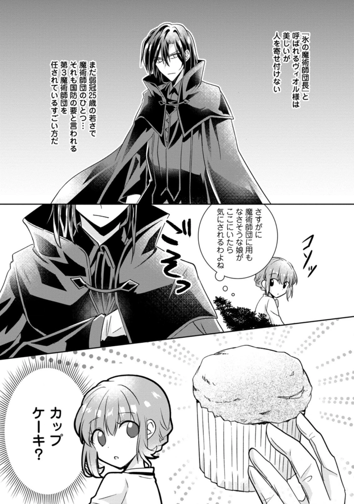 地味姫と黒猫の、円満な婚約破棄 第1.1話 - 9