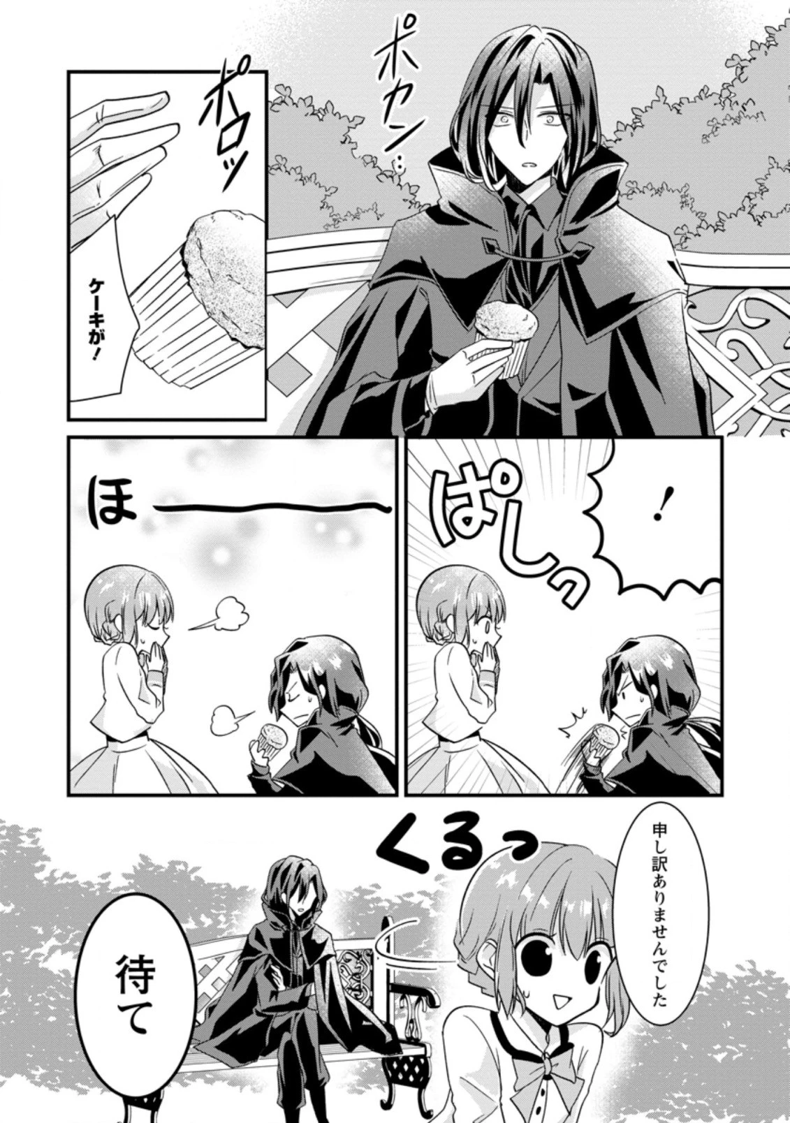地味姫と黒猫の、円満な婚約破棄 第1.1話 - 11