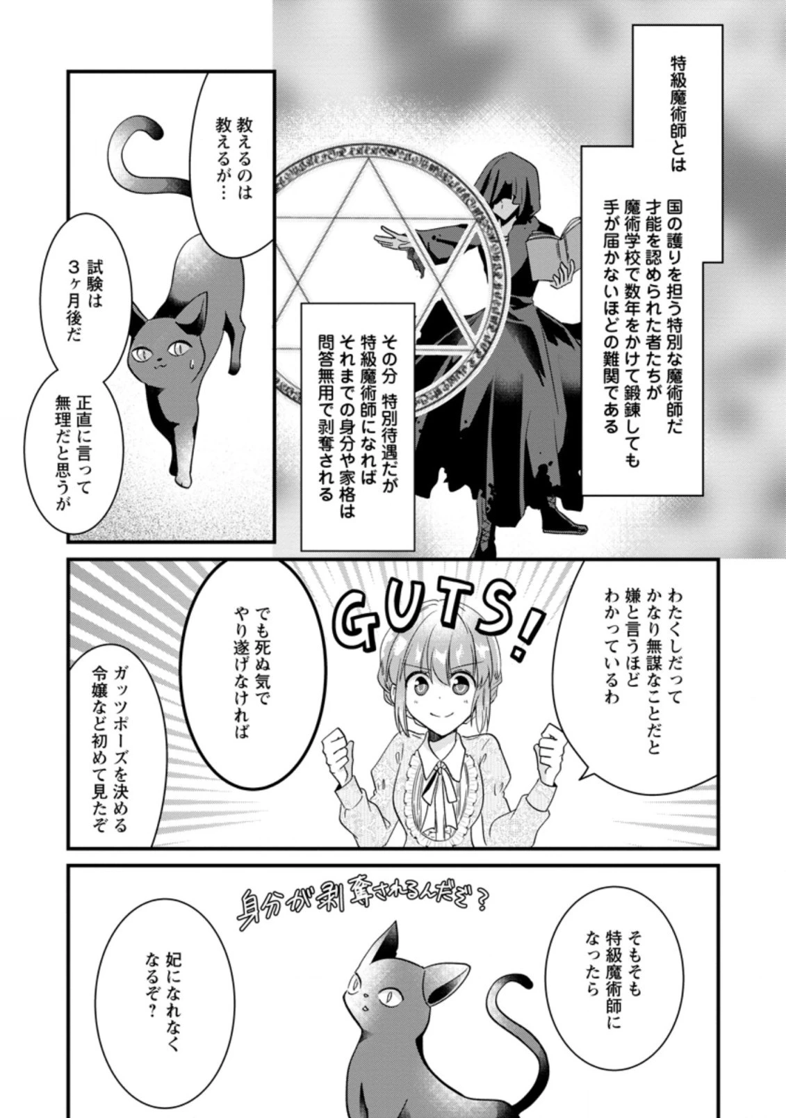 地味姫と黒猫の、円満な婚約破棄 第1.3話 - 3