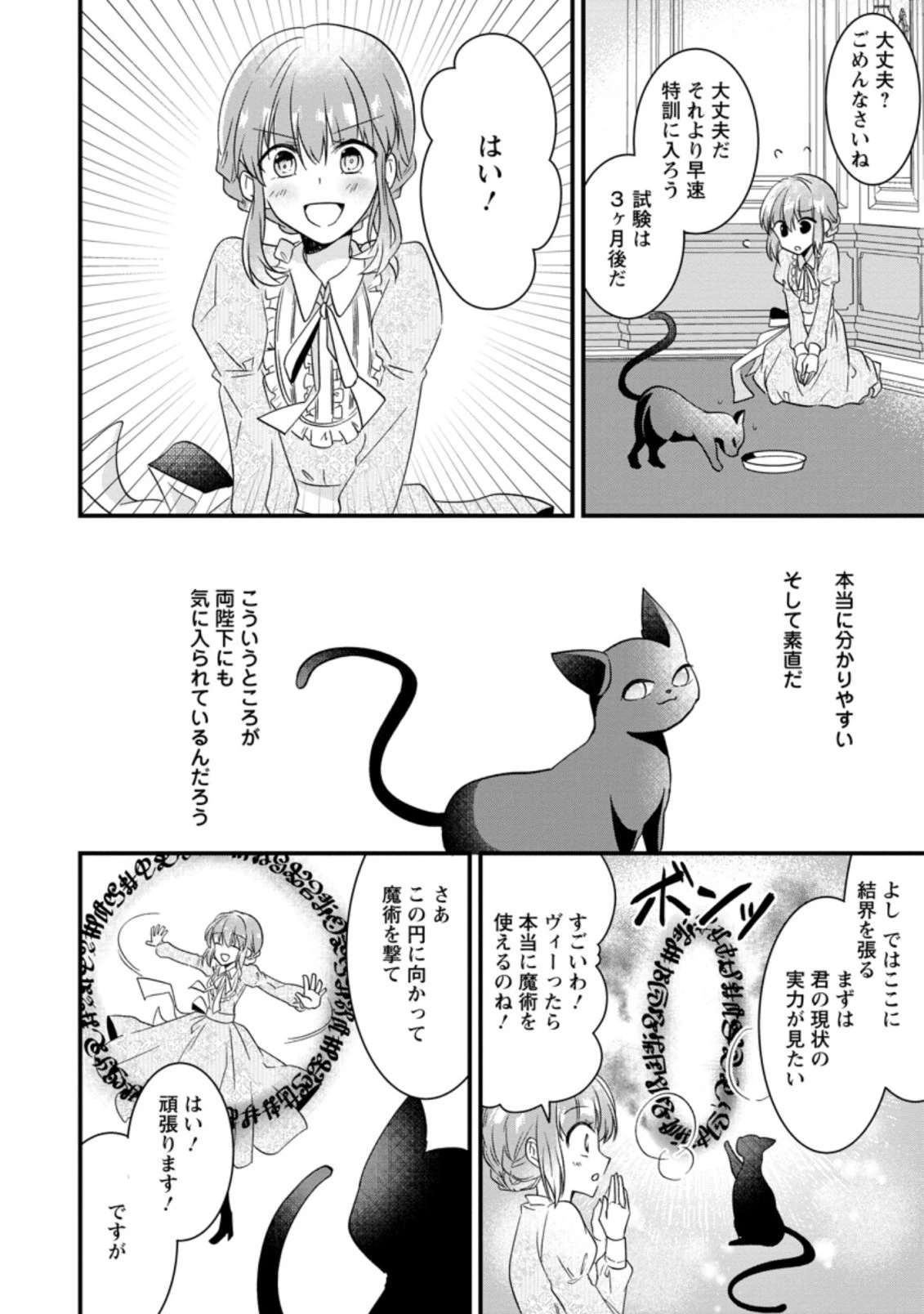 地味姫と黒猫の、円満な婚約破棄 第1.3話 - 8