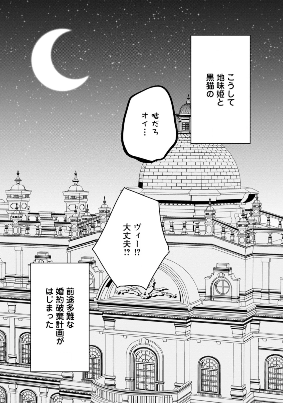 地味姫と黒猫の、円満な婚約破棄 第1.3話 - 10