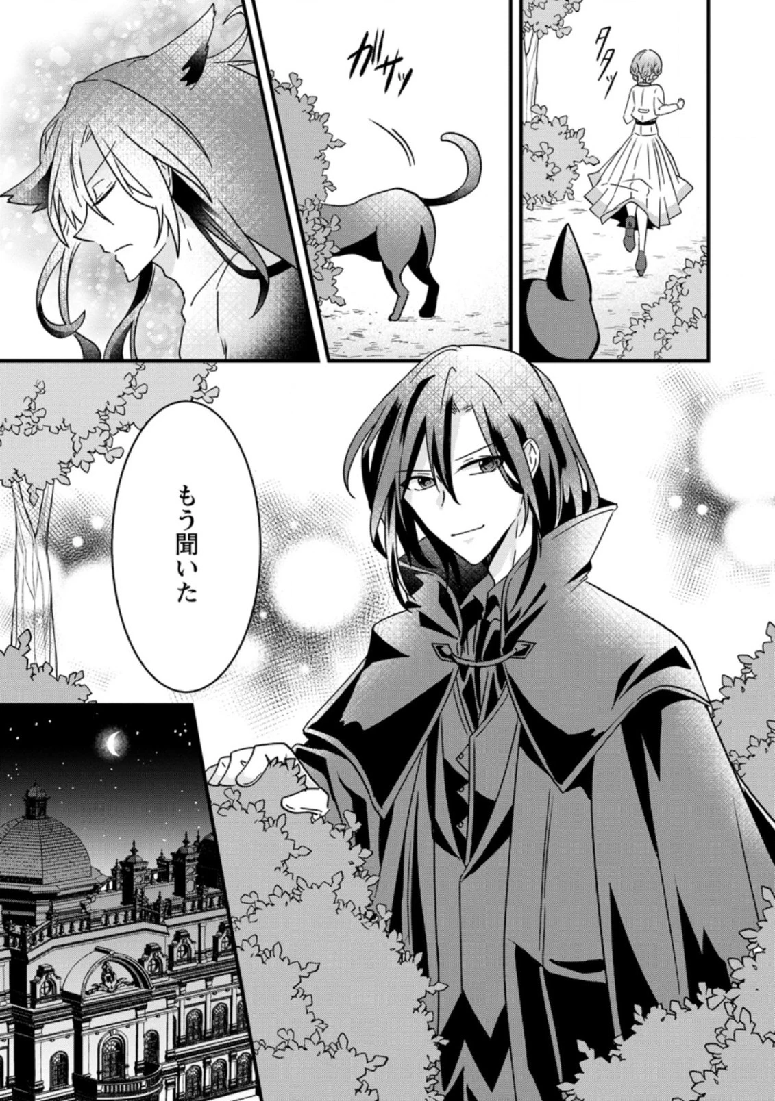 地味姫と黒猫の、円満な婚約破棄 第2.2話 - 3