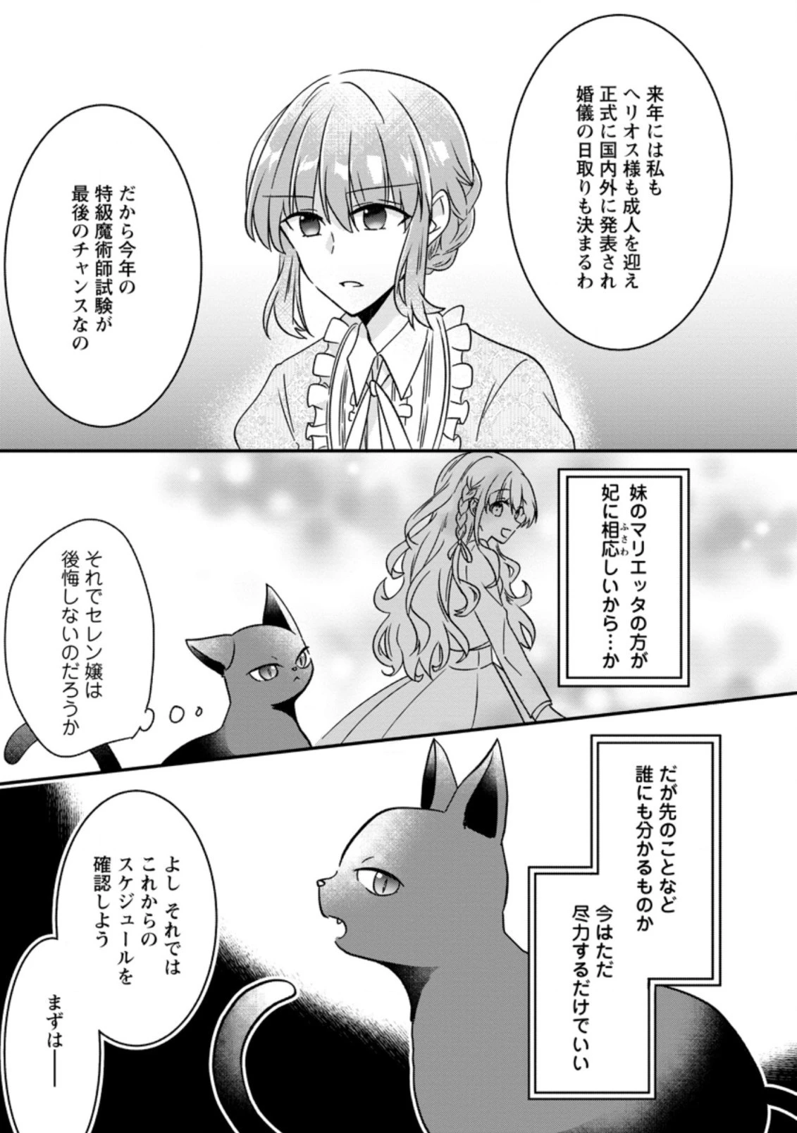 地味姫と黒猫の、円満な婚約破棄 第2.2話 - 5