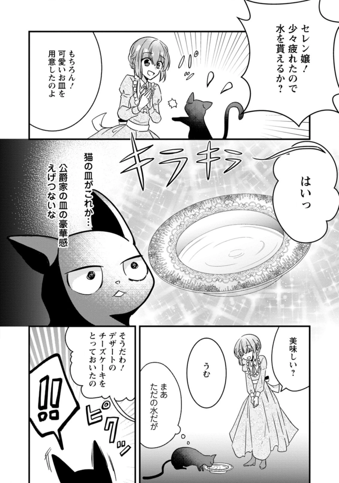 地味姫と黒猫の、円満な婚約破棄 第2.2話 - 10