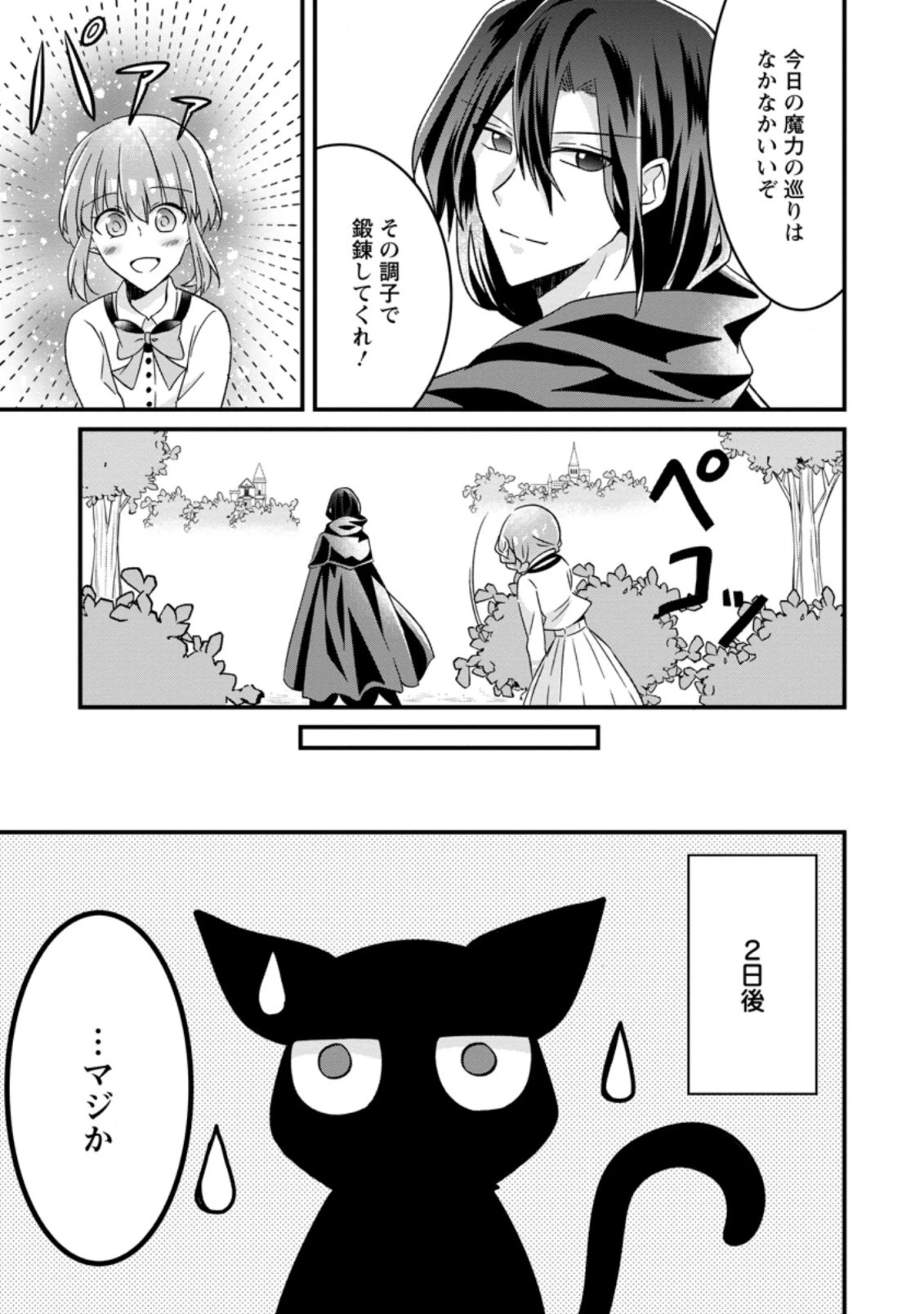 地味姫と黒猫の、円満な婚約破棄 第3.2話 - 4