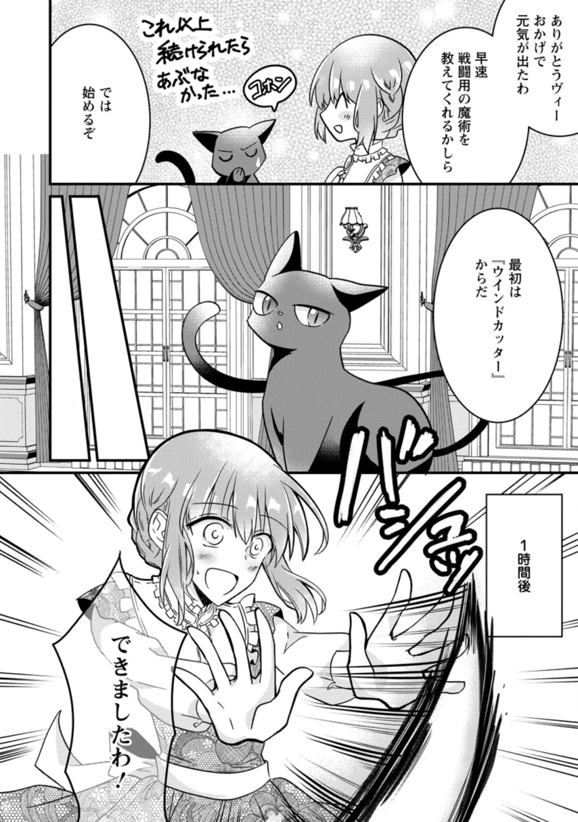 地味姫と黒猫の、円満な婚約破棄 第3.2話 - 11