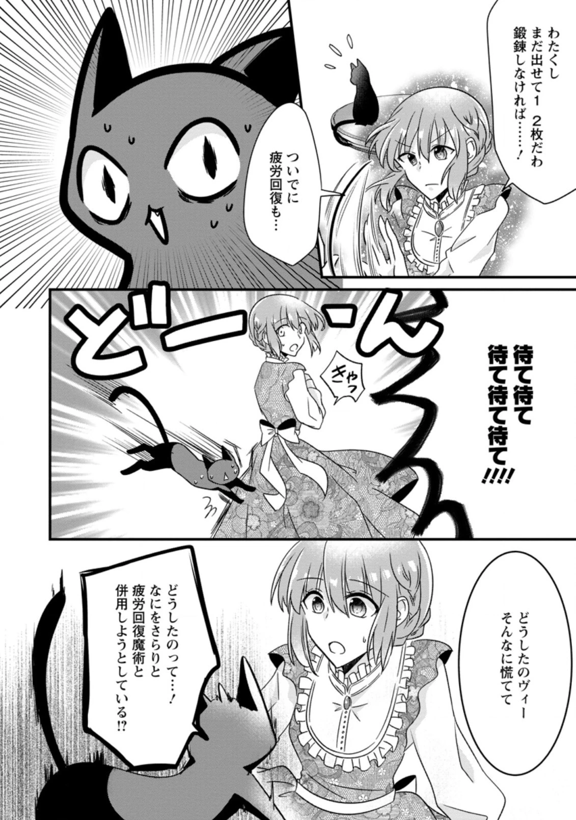 地味姫と黒猫の、円満な婚約破棄 第3.3話 - 2
