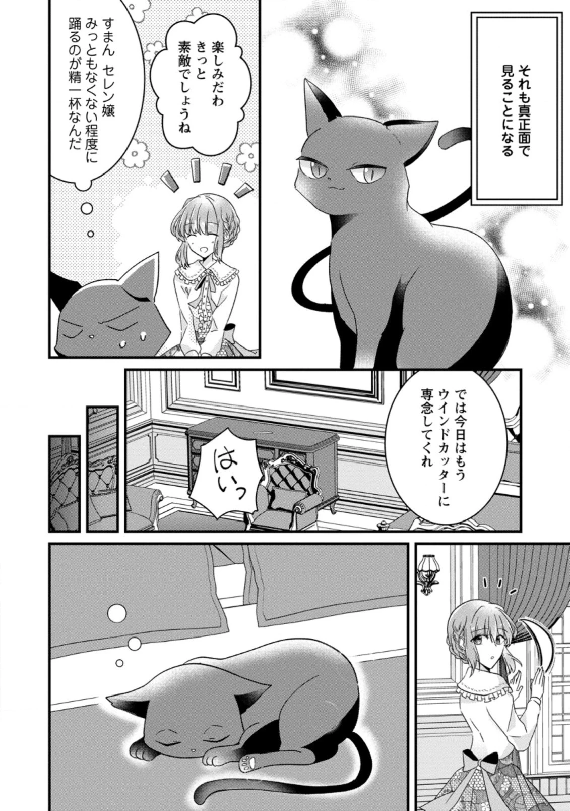 地味姫と黒猫の、円満な婚約破棄 第5.2話 - 4