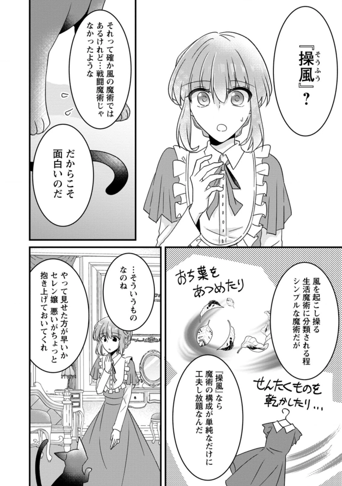 地味姫と黒猫の、円満な婚約破棄 第7.2話 - 5