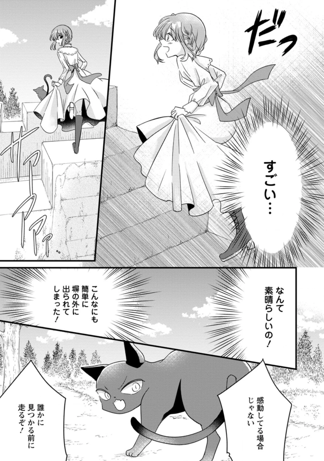 地味姫と黒猫の、円満な婚約破棄 第8.2話 - 8