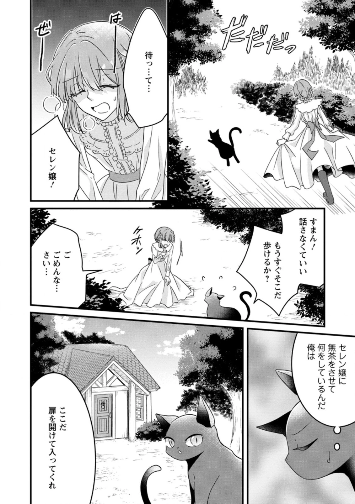 地味姫と黒猫の、円満な婚約破棄 第8.2話 - 9