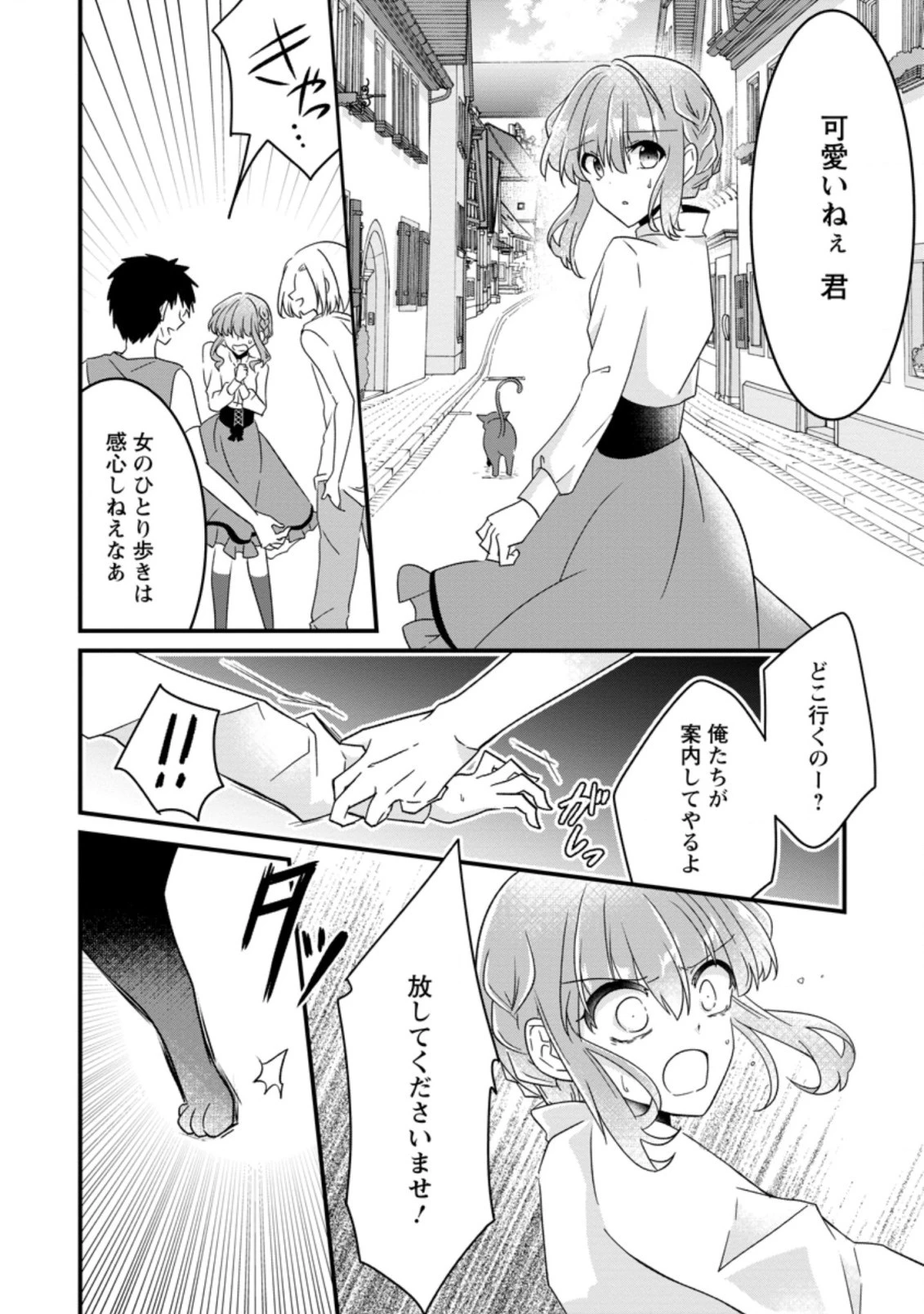 地味姫と黒猫の、円満な婚約破棄 第9.1話 - 2