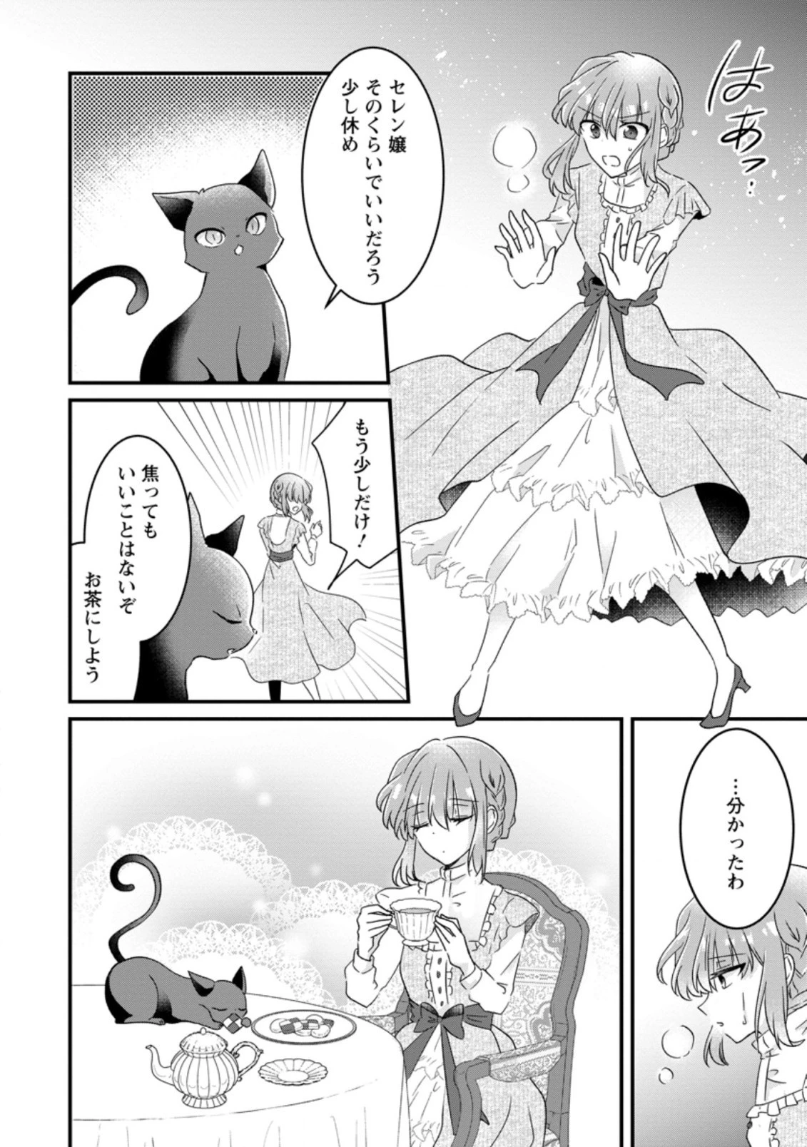 地味姫と黒猫の、円満な婚約破棄 第10.2話 - 8