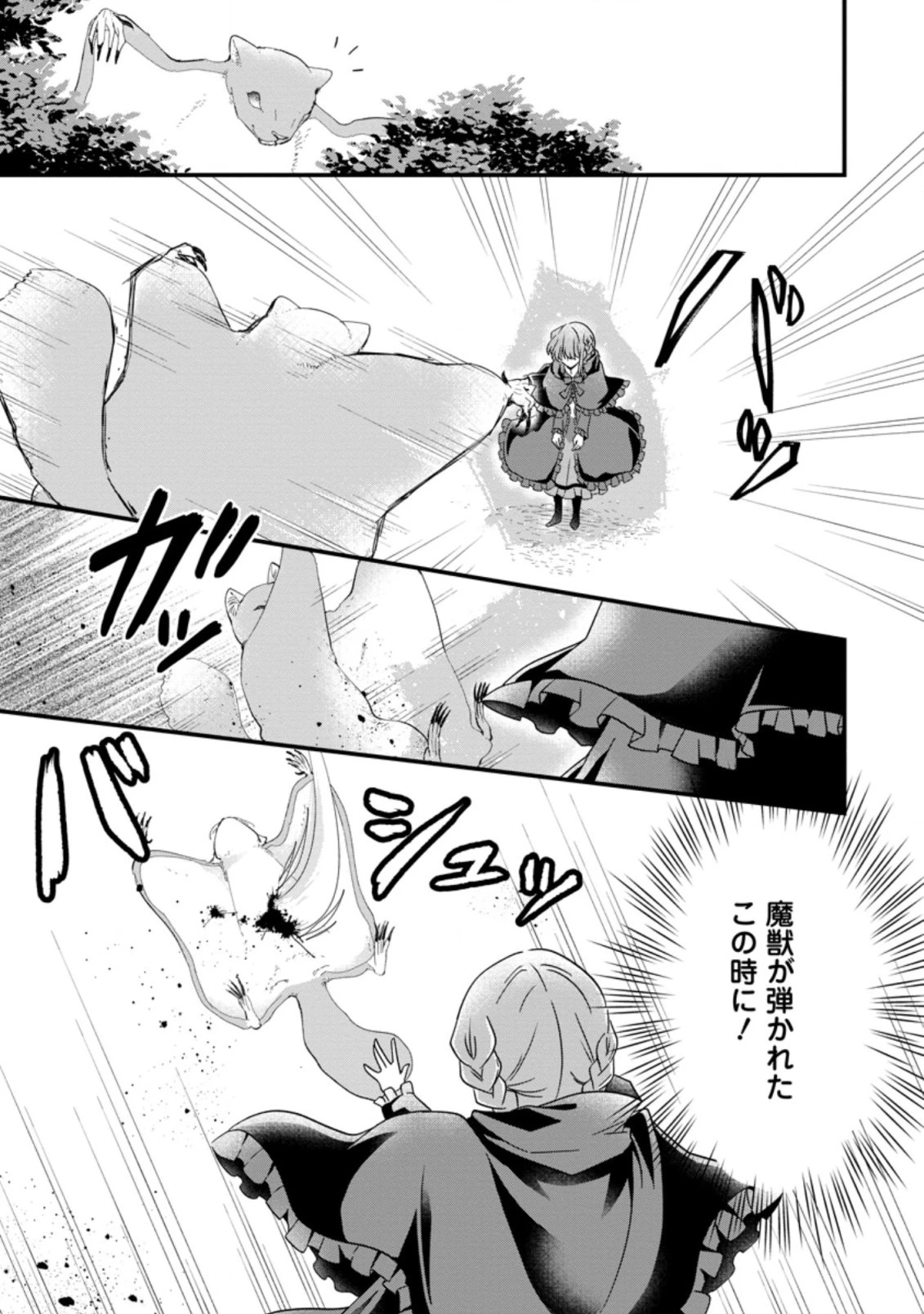 地味姫と黒猫の、円満な婚約破棄 第11.1話 - 11
