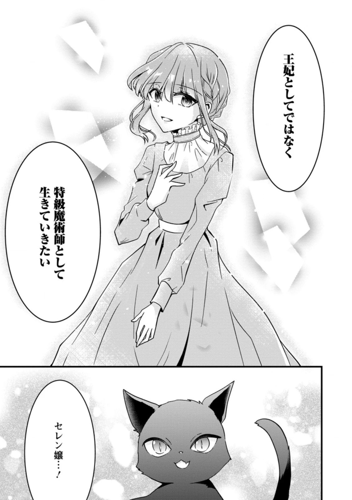 地味姫と黒猫の、円満な婚約破棄 第11.3話 - 9