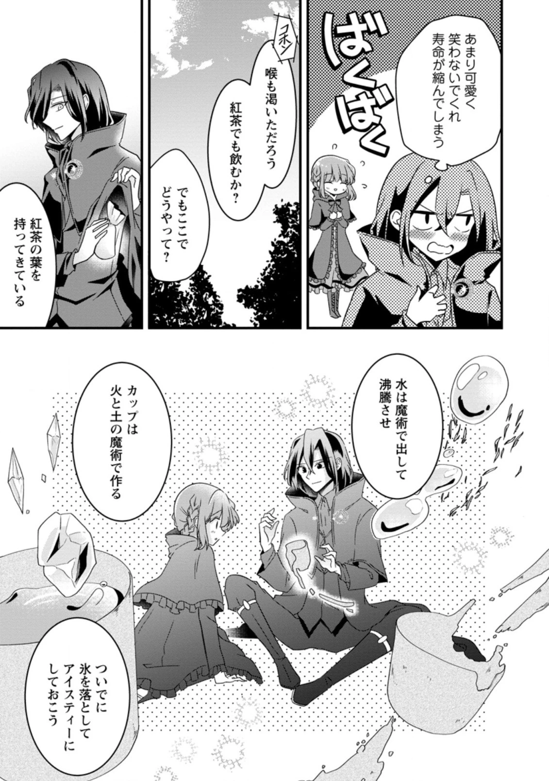 地味姫と黒猫の、円満な婚約破棄 第12.1話 - 7