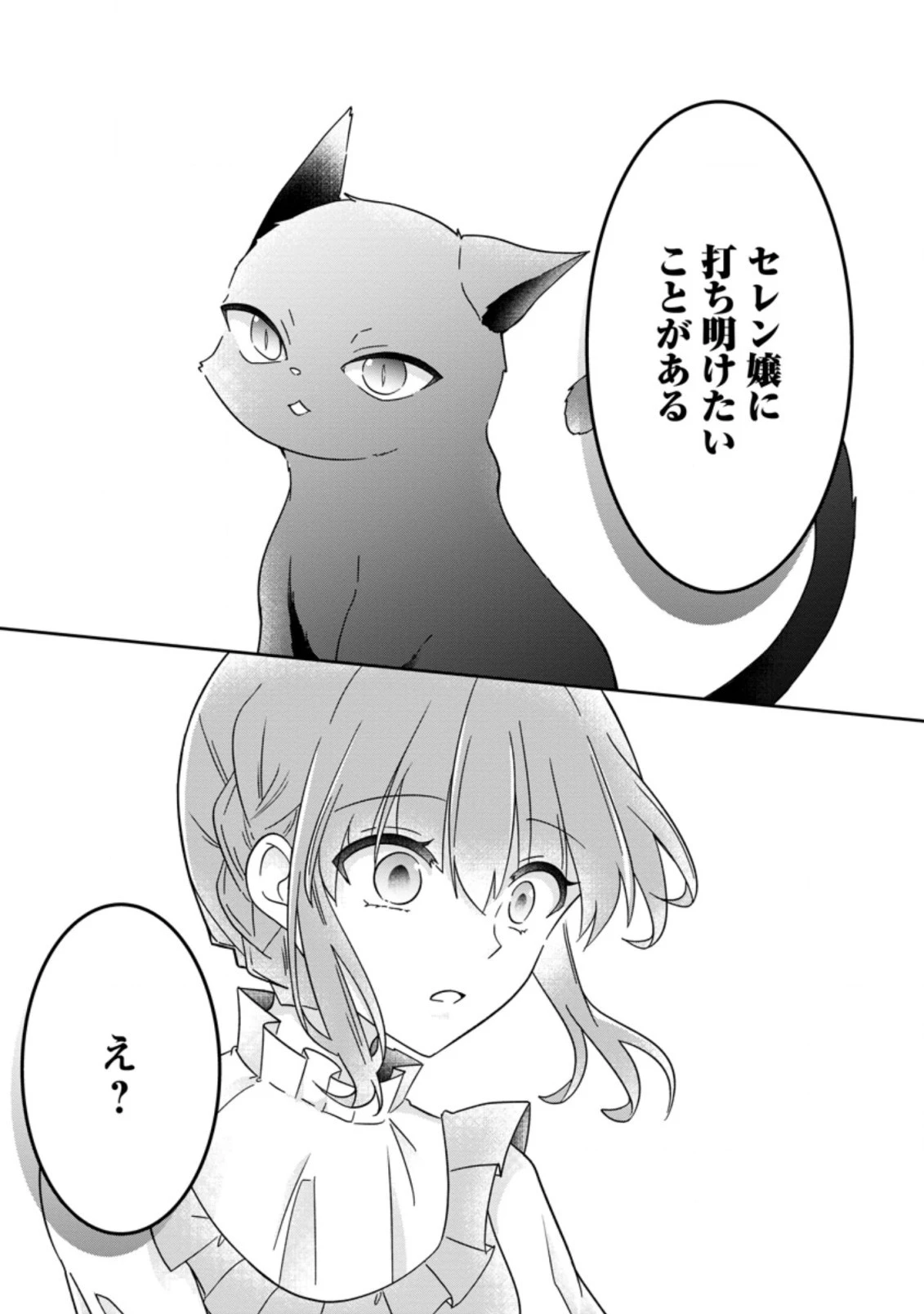地味姫と黒猫の、円満な婚約破棄 第15.3話 - 7