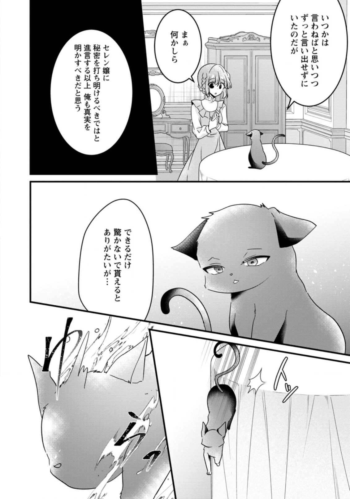 地味姫と黒猫の、円満な婚約破棄 第15.3話 - 8